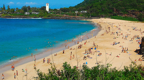 Waimea-1.jpg