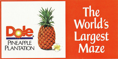 pineapple.4.jpg