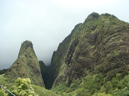 iao.1.jpg