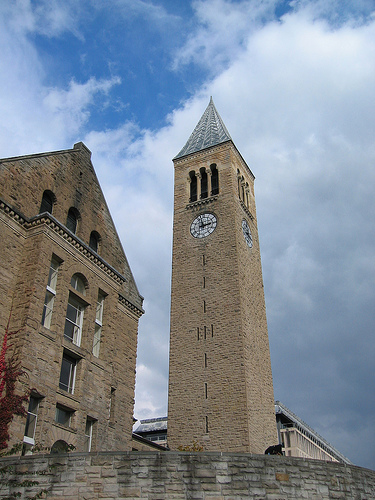 Cornell-3.jpg