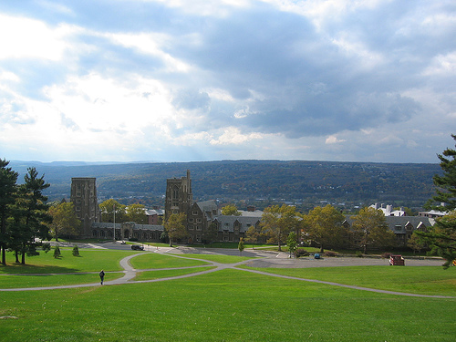 Cornell-4.jpg