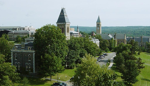 Cornell-5.jpg