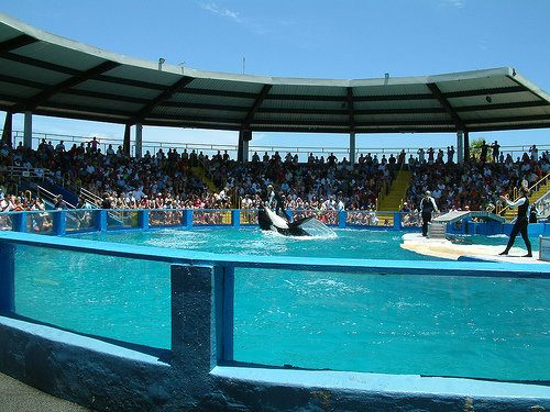 MiamiSeaquarium.1.jpg