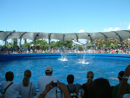 MiamiSeaquarium.2.jpg