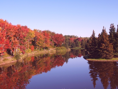 autum2.jpg