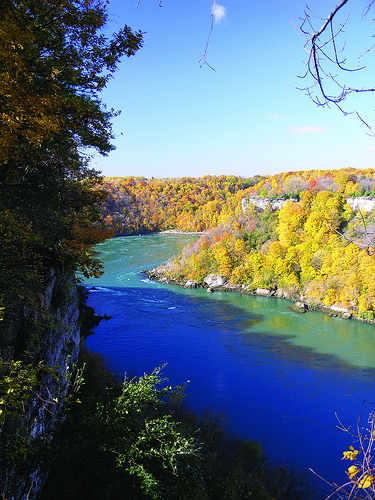 autum4.jpg