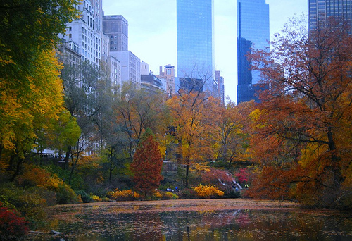autum5.jpg