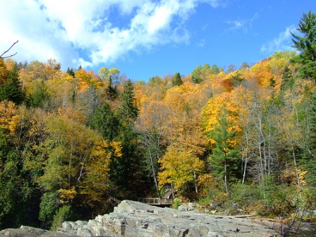 autum8.jpg