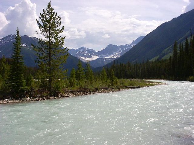 Kootenay_National_Park_Kootenay_River.JPG