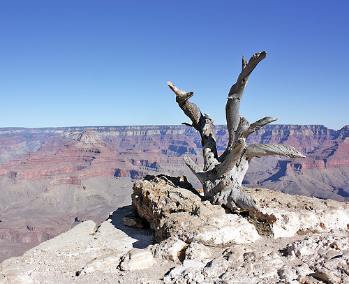 southrim-7.jpg