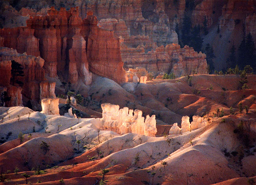 bryce-3.jpg