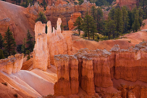 bryce-4.jpg