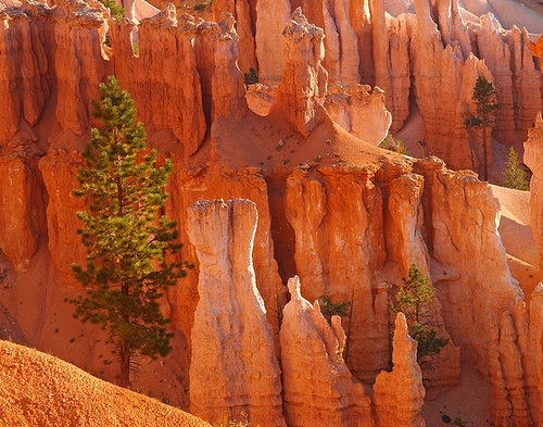 bryce-9.jpg