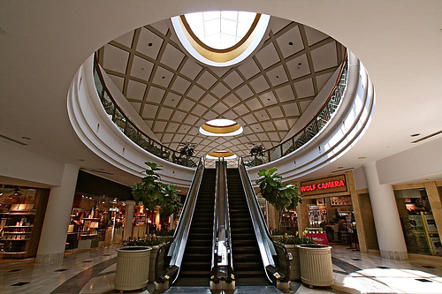 lenox-1.jpg