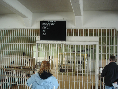 Alcatraz-6.jpg