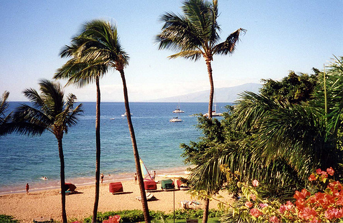 Maui-Beach-1.jpg